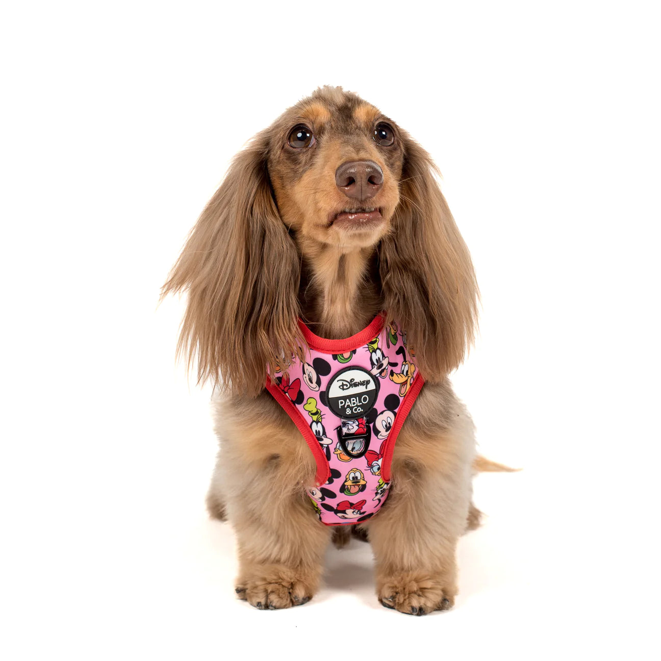 Minnie: Adjustable Harness