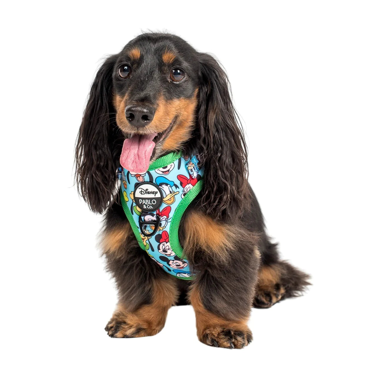 Mickey: Adjustable Harness