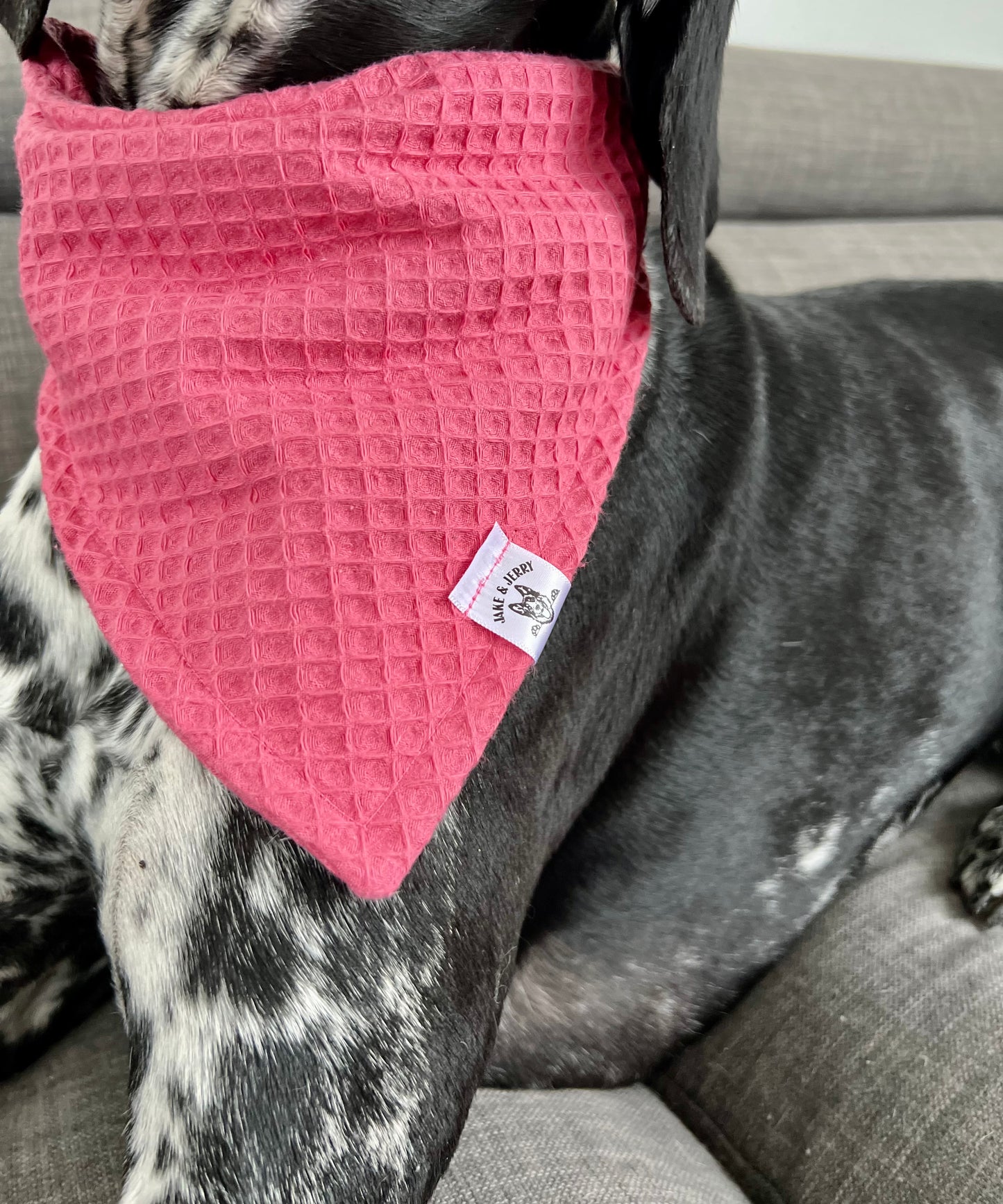 Magenta