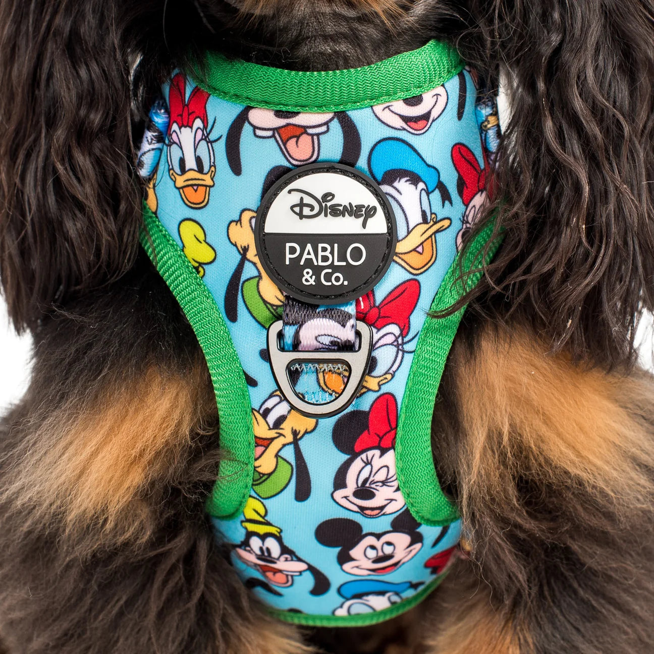Mickey: Adjustable Harness