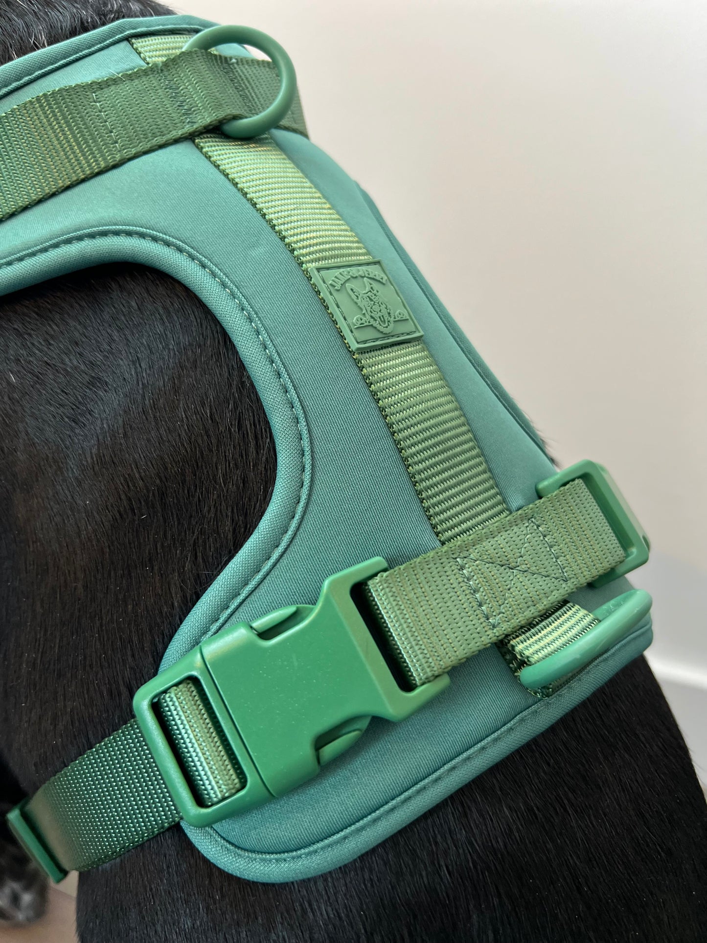 The Green: Harness