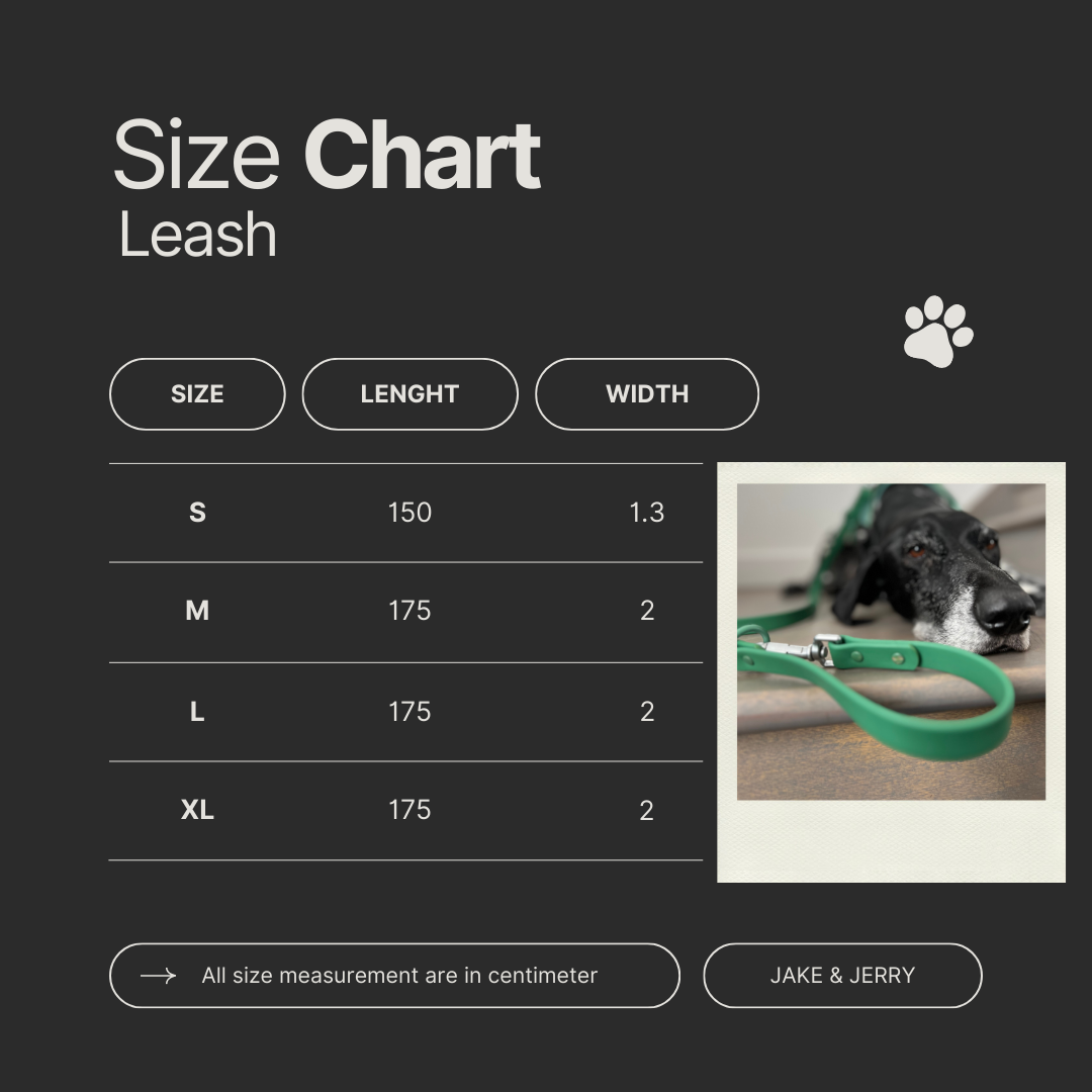 The Green: Leash