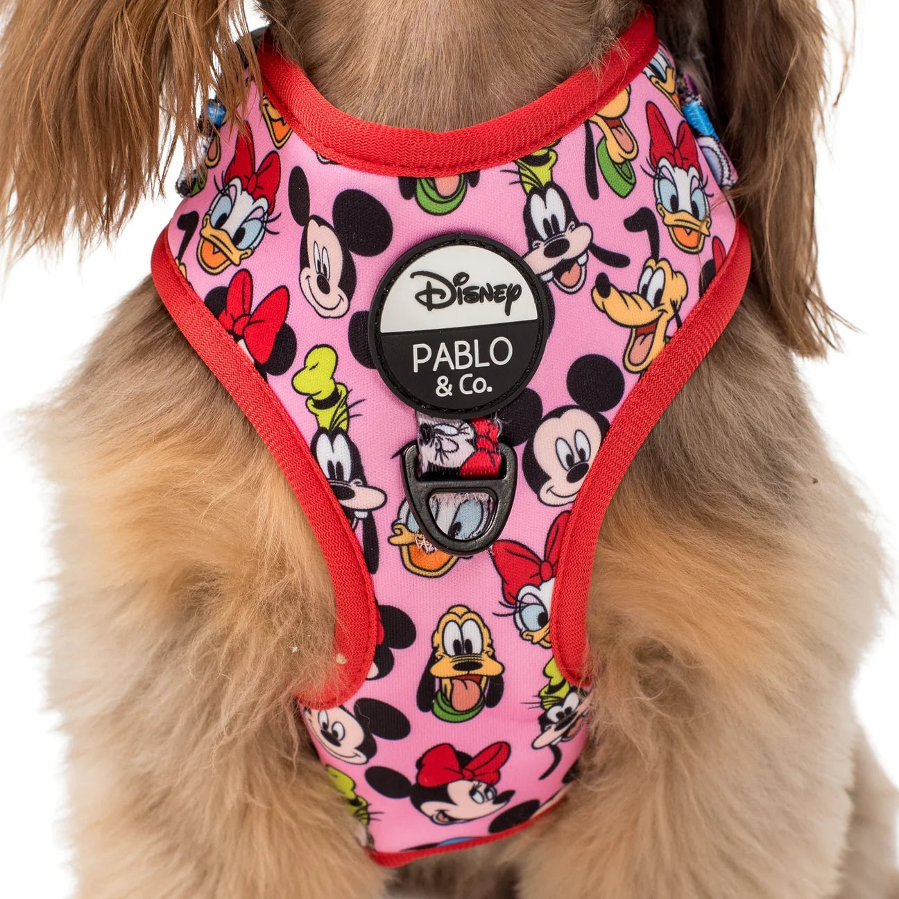 Minnie: Adjustable Harness