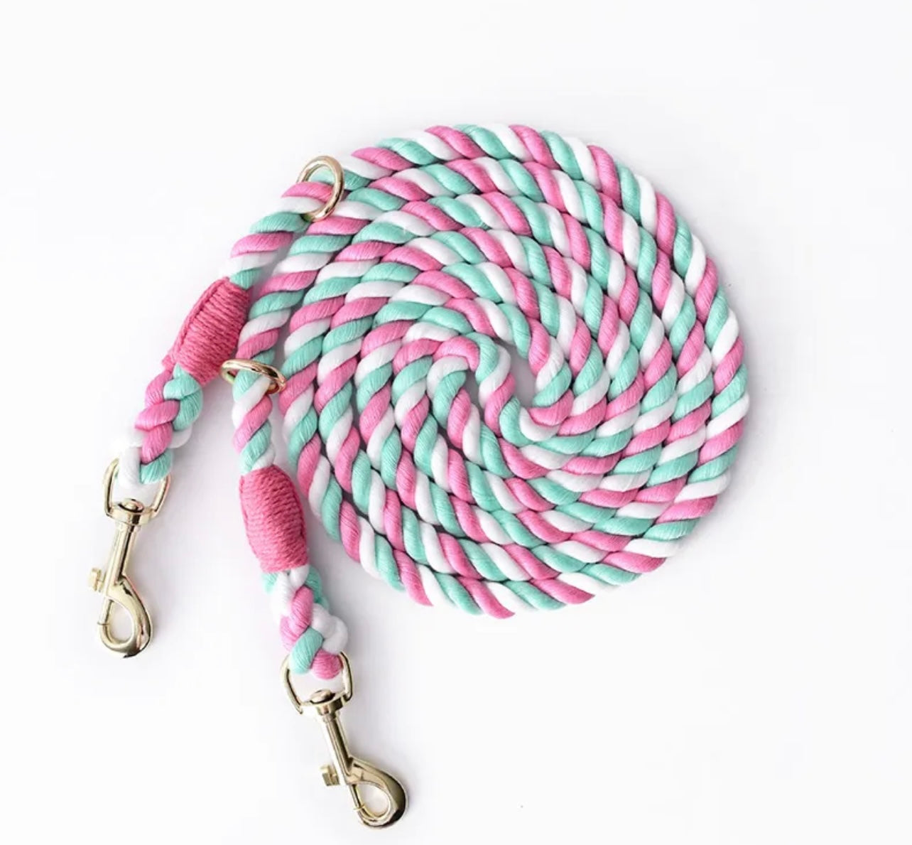 Double rope leash