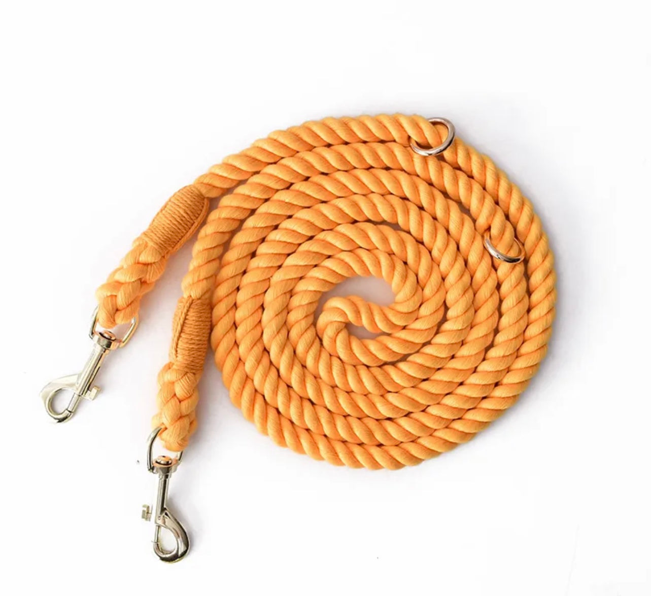 Double rope leash