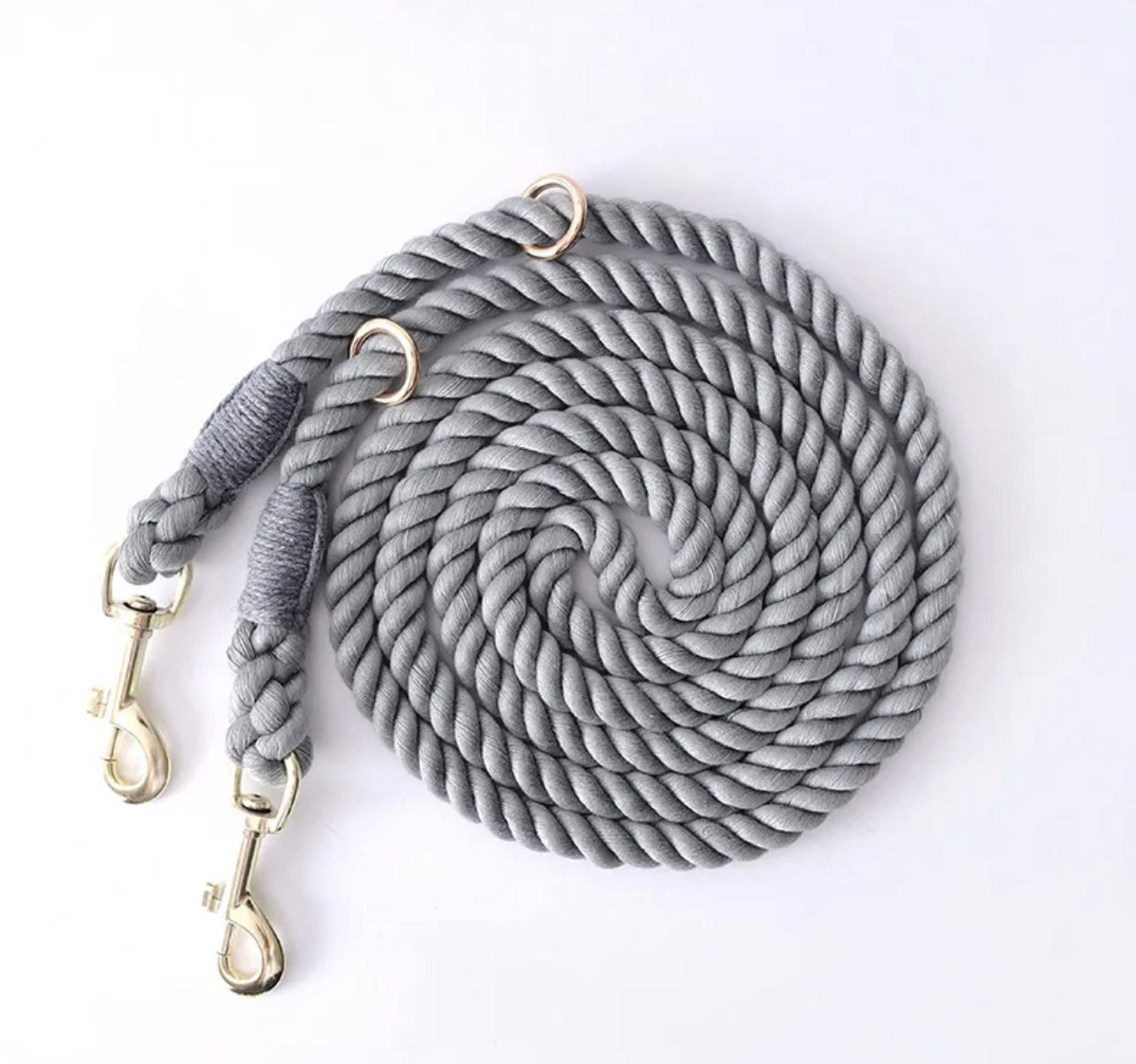 Double rope leash