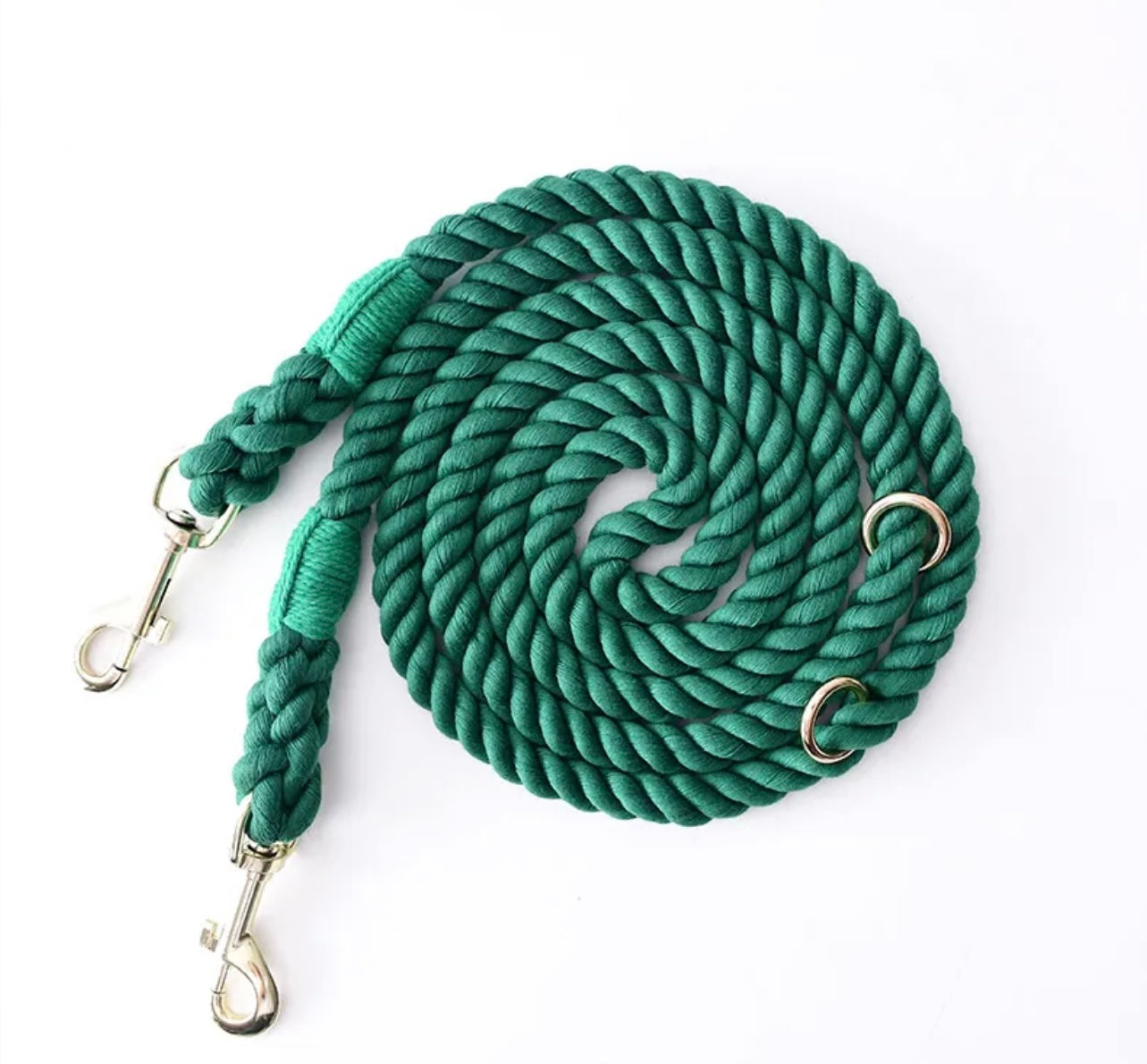 Double rope leash