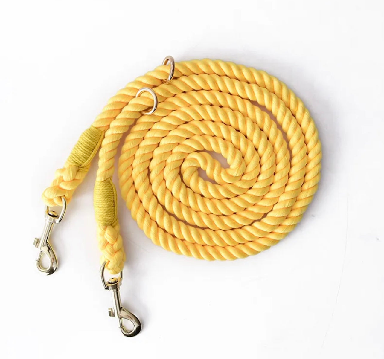 Double rope leash