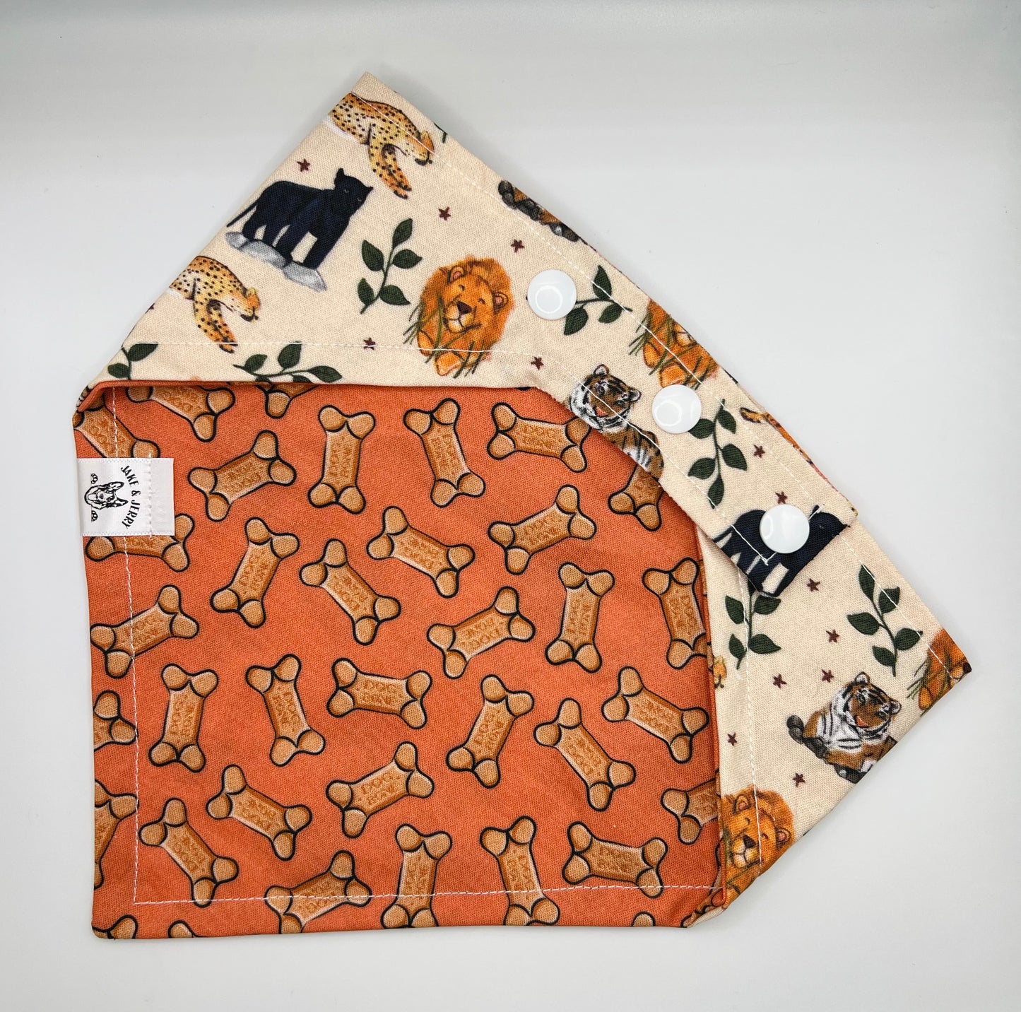Safari