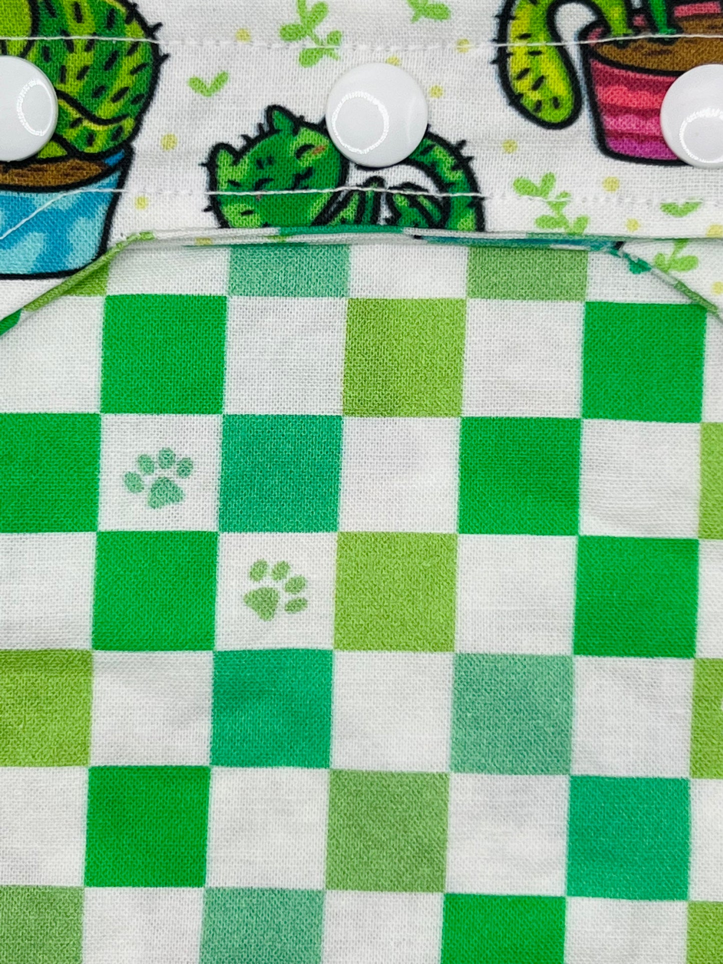 Cat-us