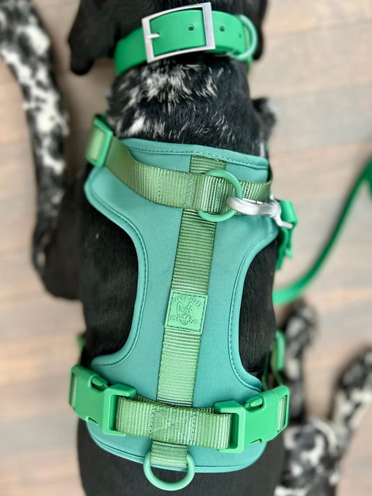 The Green: Harness