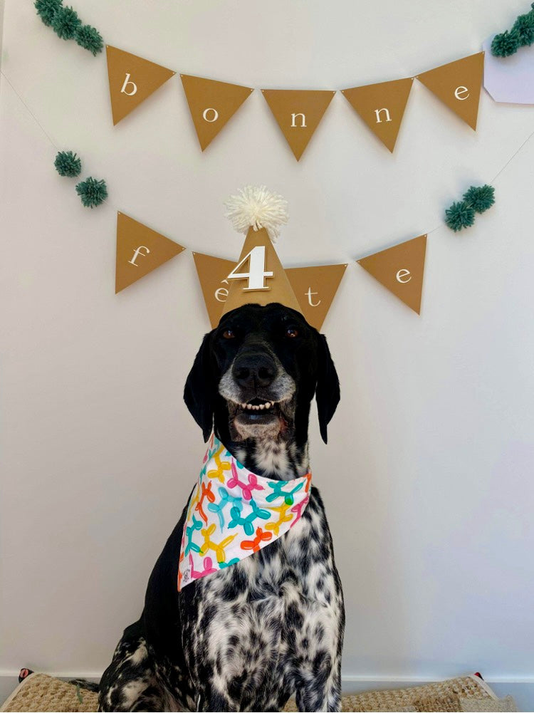 Happy Barkday Girl